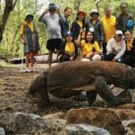 Trip 3D2N Phinisi Premier